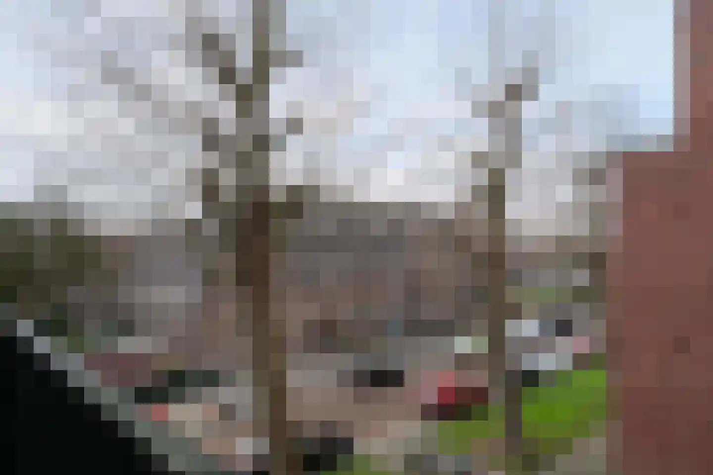 Boergoensevliet 55 B Rotterdam thumbnail 17