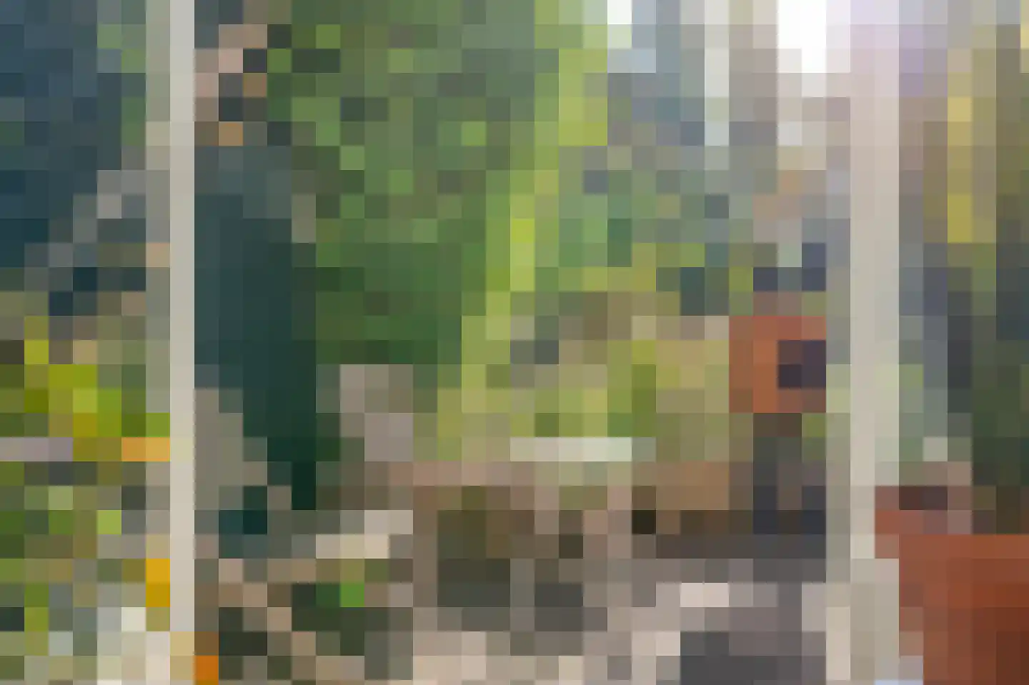 Boergoensevliet 70 Rotterdam thumbnail 24