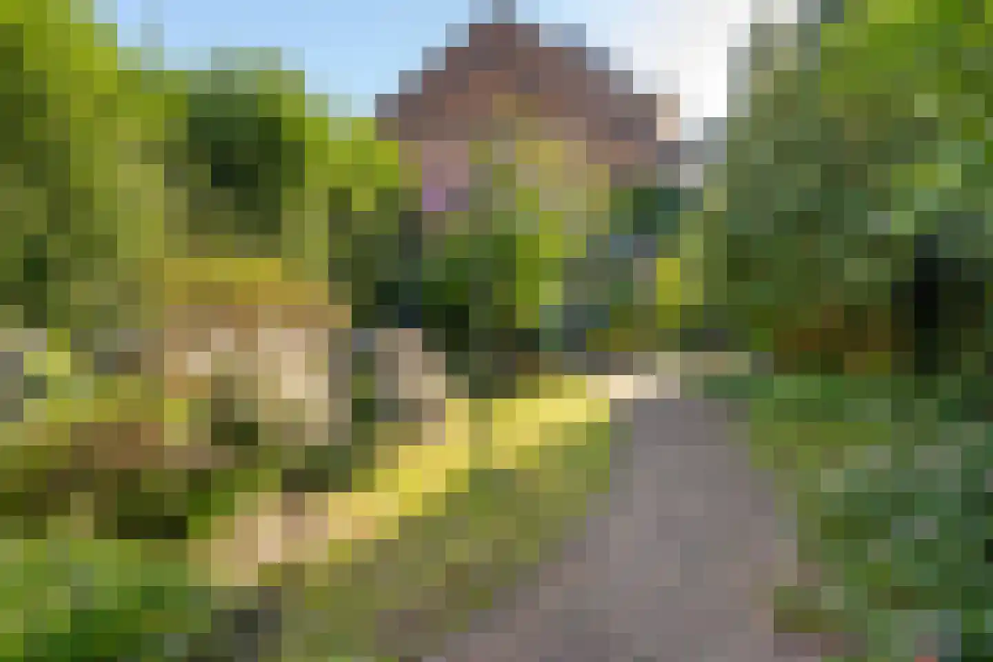 Boergoensevliet 70 Rotterdam thumbnail 26