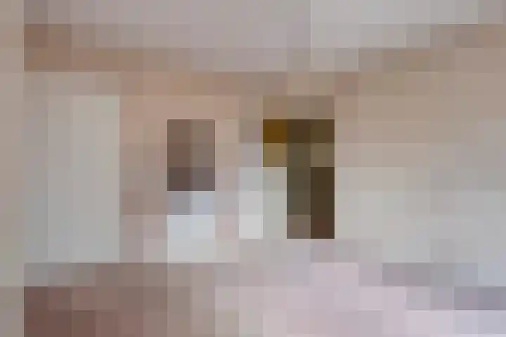 Boergoensevliet 76 Rotterdam thumbnail 16