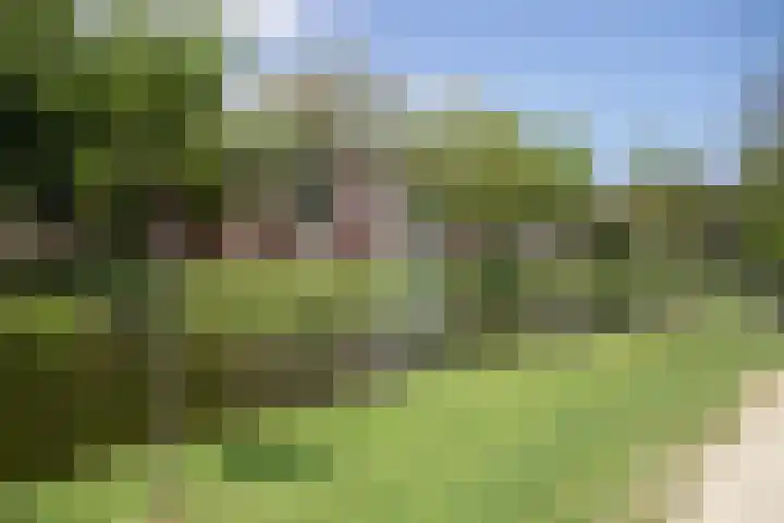 Boergoensevliet 76 Rotterdam thumbnail 4