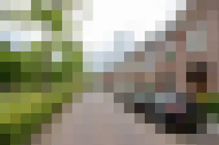 Boergoensevliet 83 B Rotterdam thumbnail 21