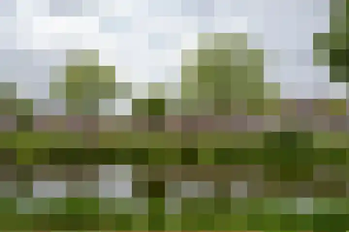 Boergoensevliet 83 B Rotterdam thumbnail 22