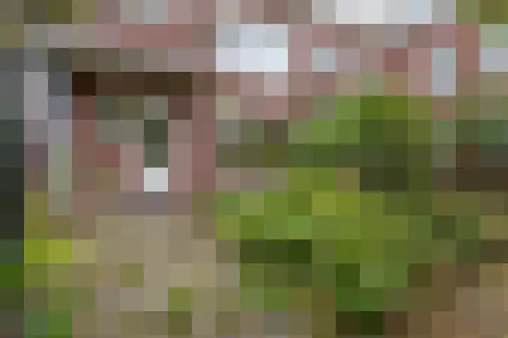 Boergoensevliet 83 B Rotterdam thumbnail 5