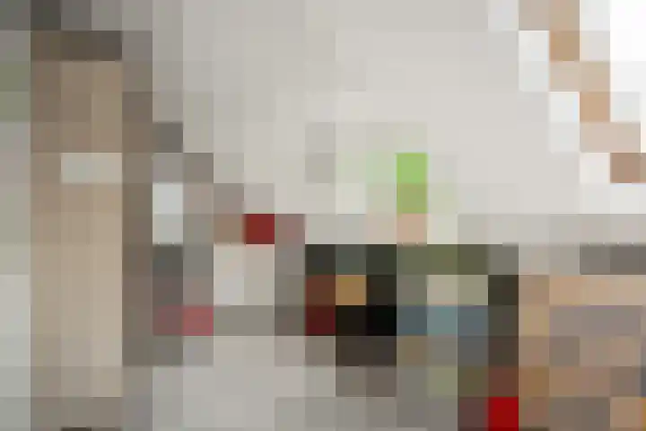 Boergonjestede 4 Vaassen thumbnail 16