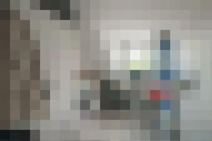 Boergonjestede 4 Vaassen thumbnail 19