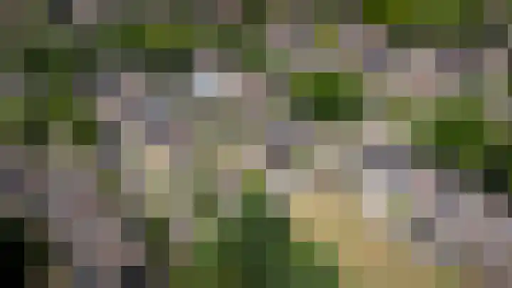 Boergonjestede 4 Vaassen thumbnail 4