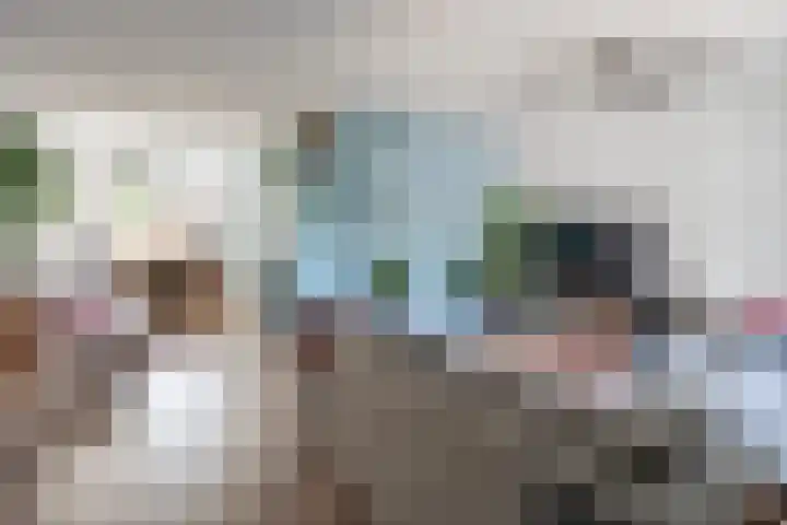 Boergonjestede 4 Vaassen thumbnail 6