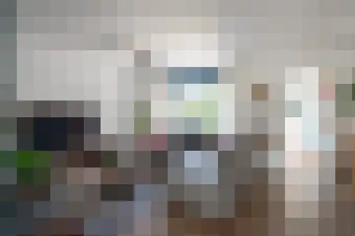 Boergonjestede 4 Vaassen thumbnail 7