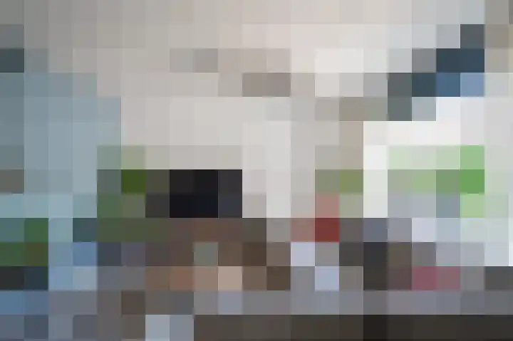 Boergonjestede 4 Vaassen thumbnail 8
