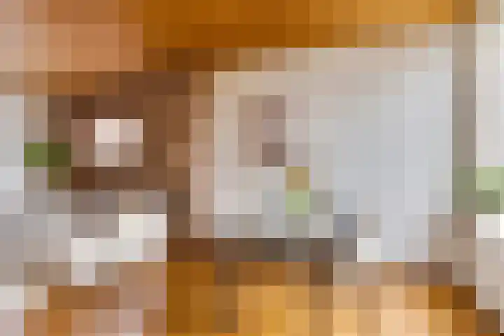 Boergrup 31 Vledderveen thumbnail 10