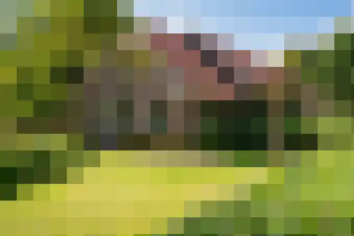 Boergrup 31 Vledderveen thumbnail 10