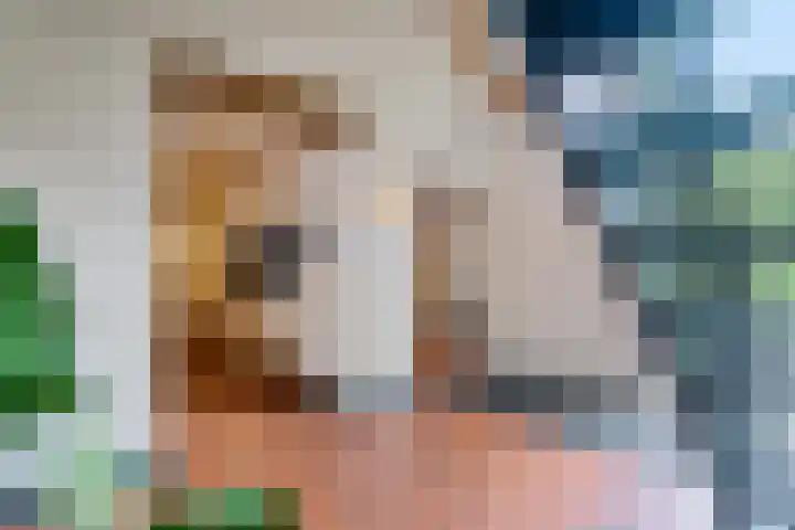 Boergrup 31 Vledderveen thumbnail 13