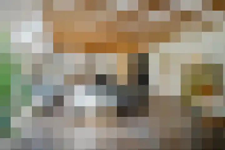 Boergrup 31 Vledderveen thumbnail 16