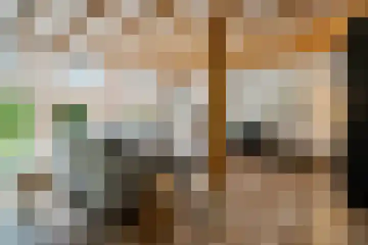 Boergrup 31 Vledderveen thumbnail 18