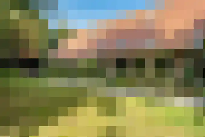 Boergrup 31 Vledderveen thumbnail 19