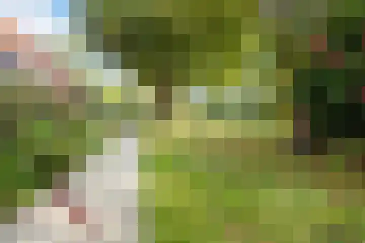 Boergrup 31 Vledderveen thumbnail 20