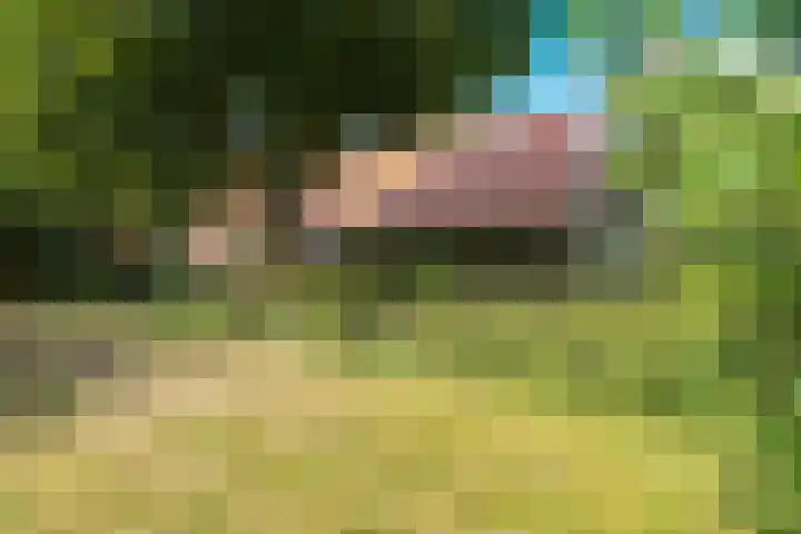 Boergrup 31 Vledderveen thumbnail 21