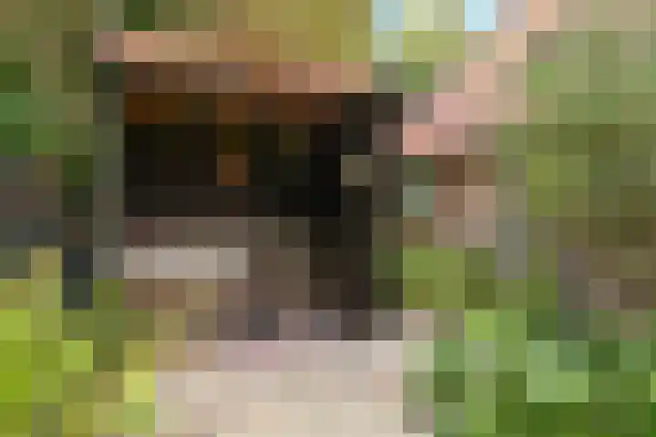 Boergrup 31 Vledderveen thumbnail 22
