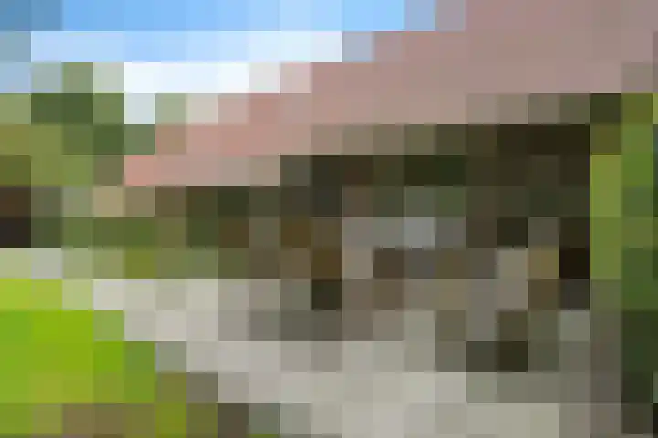 Boergrup 31 Vledderveen thumbnail 24