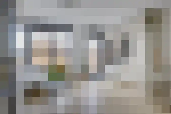 Boergrup 31 Vledderveen thumbnail 25