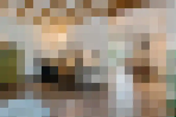 Boergrup 31 Vledderveen thumbnail 27