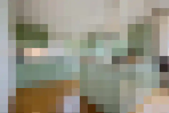 Boergrup 31 Vledderveen thumbnail 29