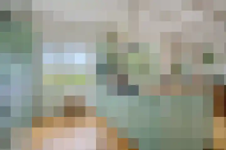 Boergrup 31 Vledderveen thumbnail 31