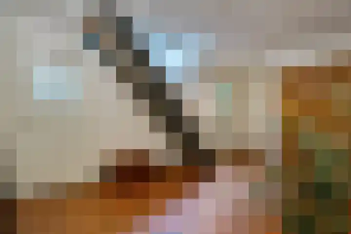 Boergrup 31 Vledderveen thumbnail 39