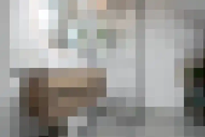 Boergrup 31 Vledderveen thumbnail 53