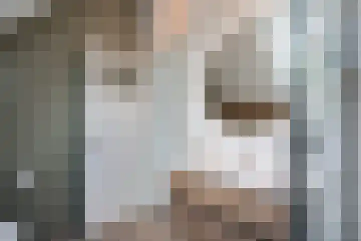 Boergrup 31 Vledderveen thumbnail 54