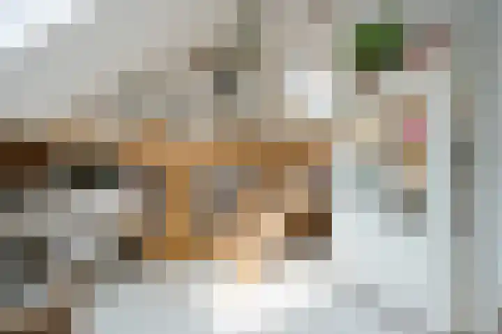 Boergrup 31 Vledderveen thumbnail 55