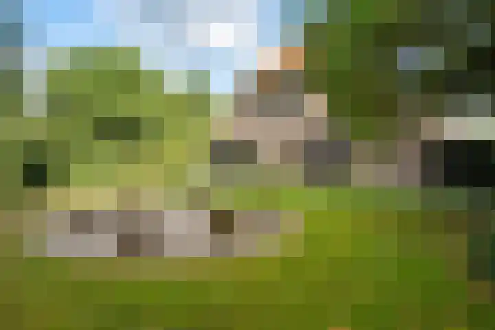 Boergrup 31 Vledderveen thumbnail 63