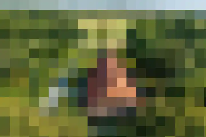 Boergrup 31 Vledderveen thumbnail 64