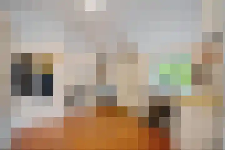 Boergrup 31 Vledderveen thumbnail 65