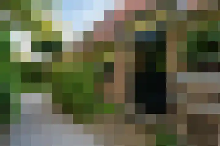 Boergrup 31 Vledderveen thumbnail 66