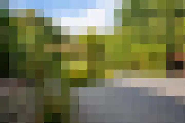 Boergrup 31 Vledderveen thumbnail 67