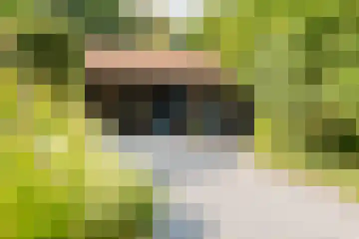 Boergrup 31 Vledderveen thumbnail 68