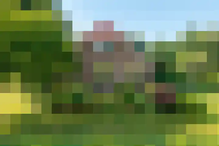 Boergrup 31 Vledderveen thumbnail 7