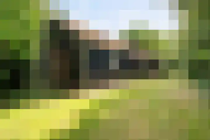 Boergrup 31 Vledderveen thumbnail 70