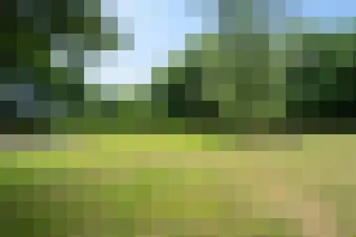Boergrup 31 Vledderveen thumbnail 71