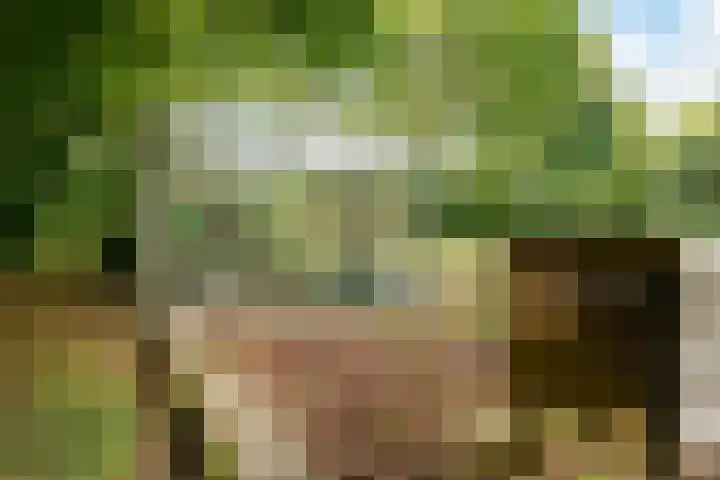 Boergrup 31 Vledderveen thumbnail 73