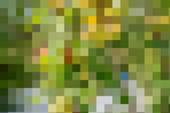 Boergrup 31 Vledderveen thumbnail 74