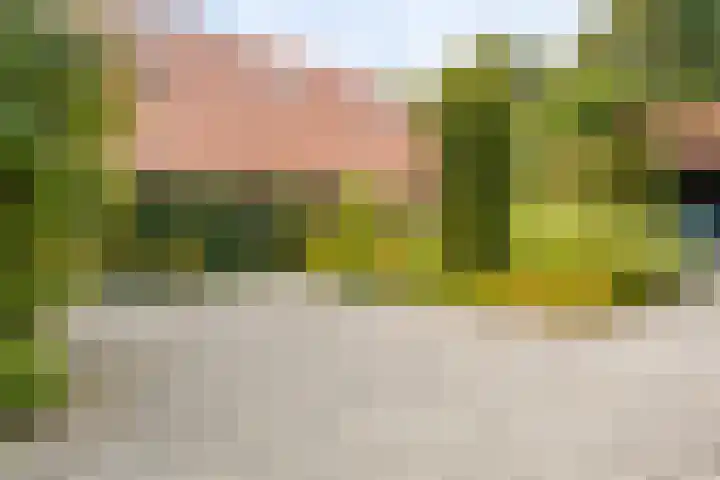 Boergrup 31 Vledderveen thumbnail 76