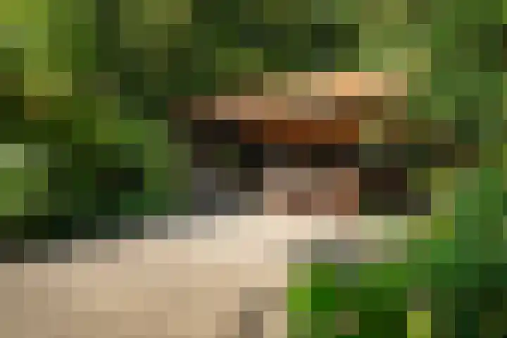 Boergrup 31 Vledderveen thumbnail 77