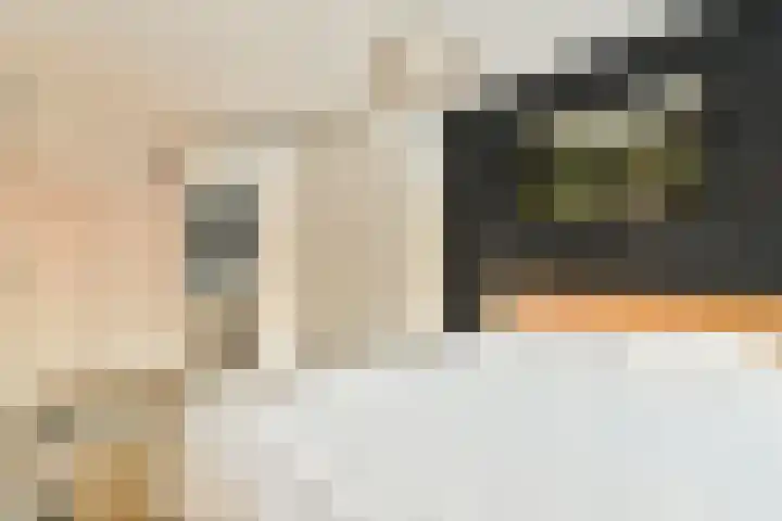 Boergrup 31 Vledderveen thumbnail 8
