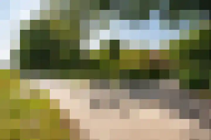 Boergrup 31 Vledderveen thumbnail 8