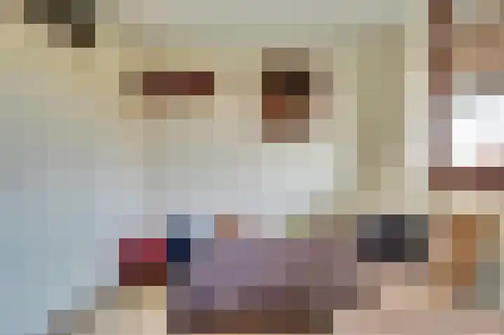 Boergrup 31 Vledderveen thumbnail 80