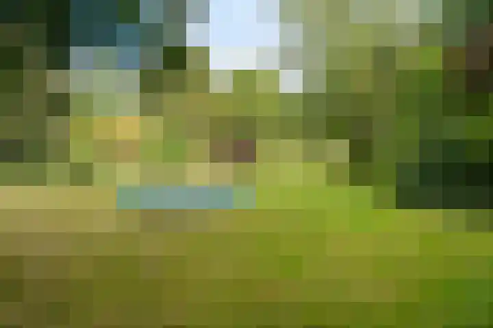 Boergrup 31 Vledderveen thumbnail 80