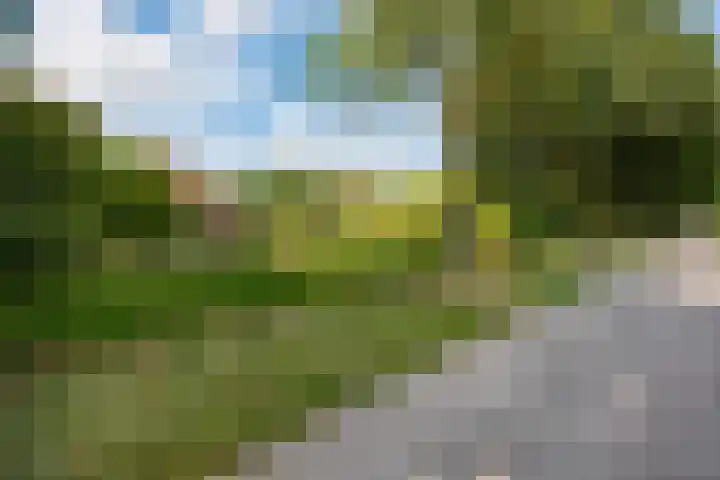 Boergrup 31 Vledderveen thumbnail 82